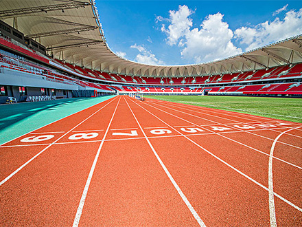 案例展示二(图1) 案例展示二(图1)