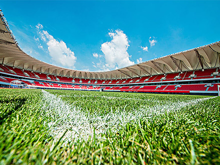 案例展示一(图1) 案例展示一(图1)